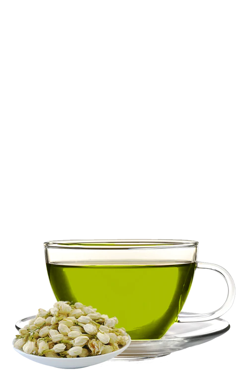JASMINE GREEN TEA