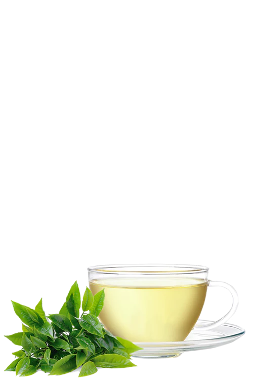 PURE PEPERMINT TEA