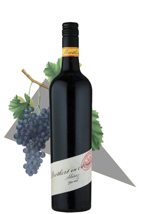 BROTHERS IN ARMS SHIRAZ